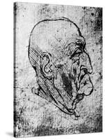 Head of an Old Man, 1913-Leonardo da Vinci-Stretched Canvas