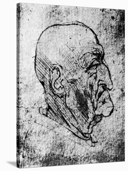 Head of an Old Man, 1913-Leonardo da Vinci-Stretched Canvas