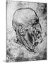 Head of an Old Man, 1913-Leonardo da Vinci-Mounted Giclee Print
