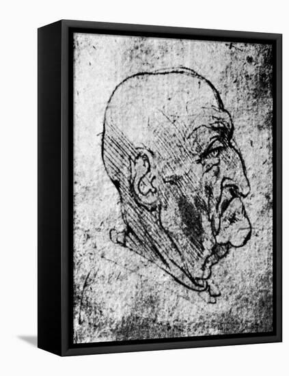 Head of an Old Man, 1913-Leonardo da Vinci-Framed Stretched Canvas