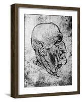 Head of an Old Man, 1913-Leonardo da Vinci-Framed Giclee Print