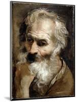 Head of an Old Man, C.1590-92-Annibale Carracci-Mounted Giclee Print