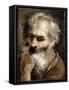 Head of an Old Man, C.1590-92-Annibale Carracci-Framed Stretched Canvas