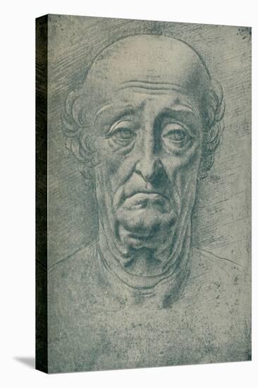 'Head of an Old Man', c15th century, (1932)-Leonardo Da Vinci-Stretched Canvas