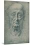 'Head of an Old Man', c15th century, (1932)-Leonardo Da Vinci-Mounted Giclee Print