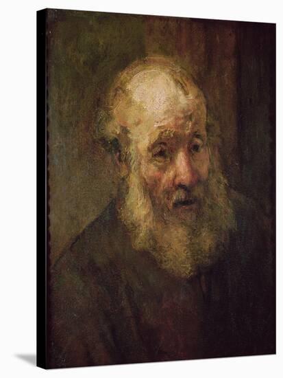 Head of an Old Man, circa 1650-Rembrandt van Rijn-Stretched Canvas