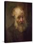 Head of an Old Man, circa 1650-Rembrandt van Rijn-Stretched Canvas