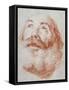 Head of an Old Man Looking Up-Giovanni Battista Tiepolo-Framed Stretched Canvas