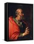 Head of an Old Man' (The Apostle Peter), 17th Century-Bernardo Strozzi-Framed Stretched Canvas