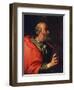 Head of an Old Man' (The Apostle Peter), 17th Century-Bernardo Strozzi-Framed Giclee Print