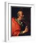 Head of an Old Man' (The Apostle Peter), 17th Century-Bernardo Strozzi-Framed Giclee Print