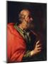 Head of an Old Man' (The Apostle Peter), 17th Century-Bernardo Strozzi-Mounted Giclee Print