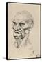 'Head of an Old Man Three-Quarters to the Left', c1480 (1945)-Leonardo Da Vinci-Framed Stretched Canvas
