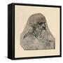 'Head of an Old Man Turned to the Right', c1480 (1945)-Leonardo Da Vinci-Framed Stretched Canvas