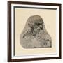 'Head of an Old Man Turned to the Right', c1480 (1945)-Leonardo Da Vinci-Framed Giclee Print