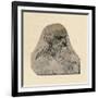 'Head of an Old Man Turned to the Right', c1480 (1945)-Leonardo Da Vinci-Framed Giclee Print