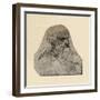 'Head of an Old Man Turned to the Right', c1480 (1945)-Leonardo Da Vinci-Framed Giclee Print