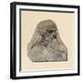 'Head of an Old Man Turned to the Right', c1480 (1945)-Leonardo Da Vinci-Framed Giclee Print