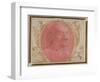 Head of an Old Man-Domenico Ghirlandaio-Framed Giclee Print