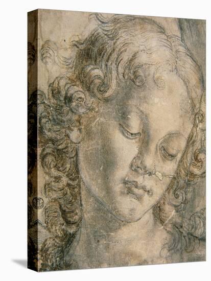 Head of Angel-Andrea del Verrocchio-Stretched Canvas