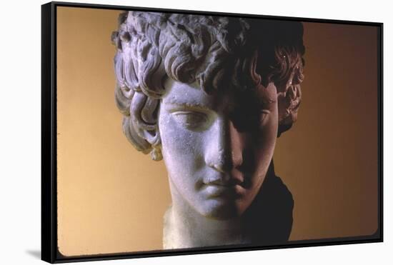 Head of Antinous, Favorite of Emperor Hadrian-Gjon Mili-Framed Stretched Canvas