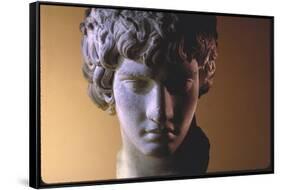 Head of Antinous, Favorite of Emperor Hadrian-Gjon Mili-Framed Stretched Canvas