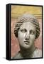 Head of Aphrodite, Goddess of Beauty and Love, 2nd Century-Praxiteles Praxiteles-Framed Stretched Canvas