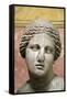 Head of Aphrodite, Goddess of Beauty and Love, 2nd Century-Praxiteles Praxiteles-Framed Stretched Canvas