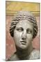Head of Aphrodite, Goddess of Beauty and Love, 2nd Century-Praxiteles Praxiteles-Mounted Photographic Print