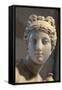 Head of Aphrodite-null-Framed Stretched Canvas