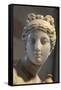 Head of Aphrodite-null-Framed Stretched Canvas