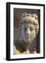 Head of Aphrodite-null-Framed Premium Photographic Print