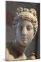Head of Aphrodite-null-Mounted Photographic Print