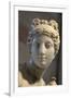 Head of Aphrodite-null-Framed Photographic Print