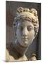 Head of Aphrodite-null-Mounted Photographic Print