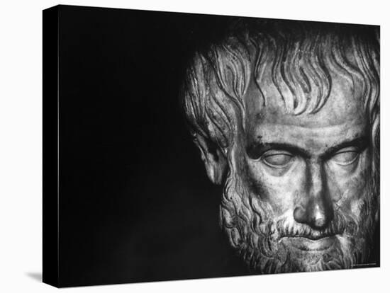 Head of Aristotle-Gjon Mili-Stretched Canvas