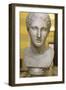 Head of Artemis, 2nd Century-null-Framed Photographic Print