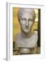 Head of Artemis, 2nd Century-null-Framed Photographic Print