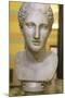 Head of Artemis, 2nd Century-null-Mounted Photographic Print