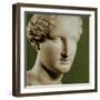 Head of Artemis-null-Framed Giclee Print