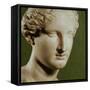 Head of Artemis-null-Framed Stretched Canvas