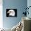 Head of Bald Eagle-Naturfoto Honal-Photographic Print displayed on a wall