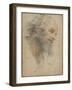 Head of Bearded Man Seen Three-Quarters, Facing Right-Matteo Rosselli-Framed Giclee Print