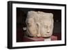 Head of Brahma-null-Framed Giclee Print