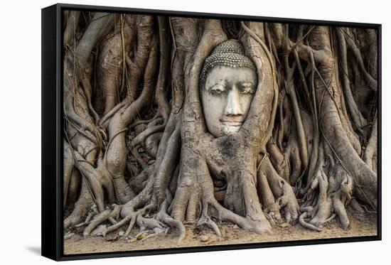 Head of Buddha Statue in the Tree Roots, Ayutthaya, Thailand-R.M. Nunes-Framed Stretched Canvas