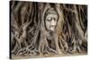 Head of Buddha Statue in the Tree Roots, Ayutthaya, Thailand-R.M. Nunes-Stretched Canvas