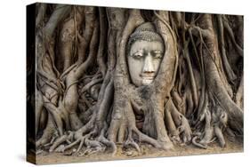 Head of Buddha Statue in the Tree Roots, Ayutthaya, Thailand-R.M. Nunes-Stretched Canvas