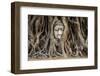 Head of Buddha Statue in the Tree Roots, Ayutthaya, Thailand-R.M. Nunes-Framed Photographic Print