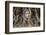 Head of Buddha Statue in the Tree Roots, Ayutthaya, Thailand-R.M. Nunes-Framed Photographic Print