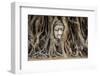 Head of Buddha Statue in the Tree Roots, Ayutthaya, Thailand-R.M. Nunes-Framed Photographic Print